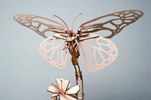 Lade das Bild in den Galerie-Viewer, SCHMETTERLING