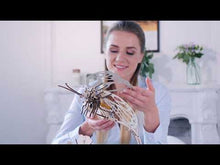 Laden und Abspielen von Videos im Galerie-Viewer, SCHMETTERLING